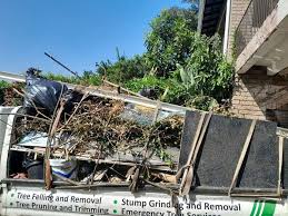 Same-Day Junk Removal Services in Sebastopol, CA